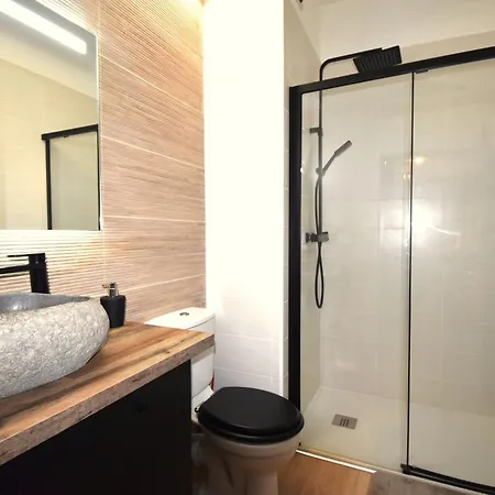 Proche Cathedrale Apartman Albi